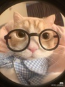 agent avatar left